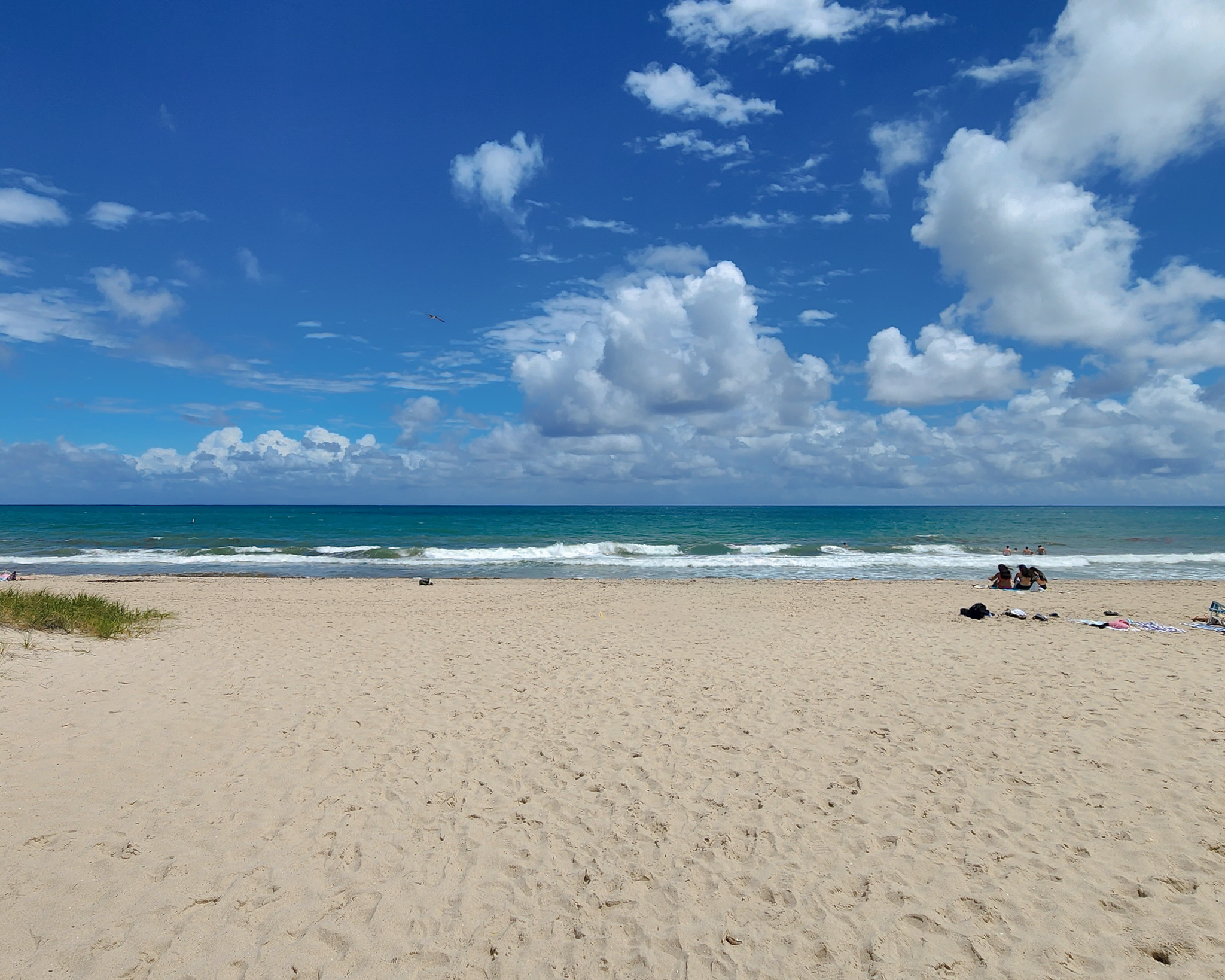 Beach with palm trees